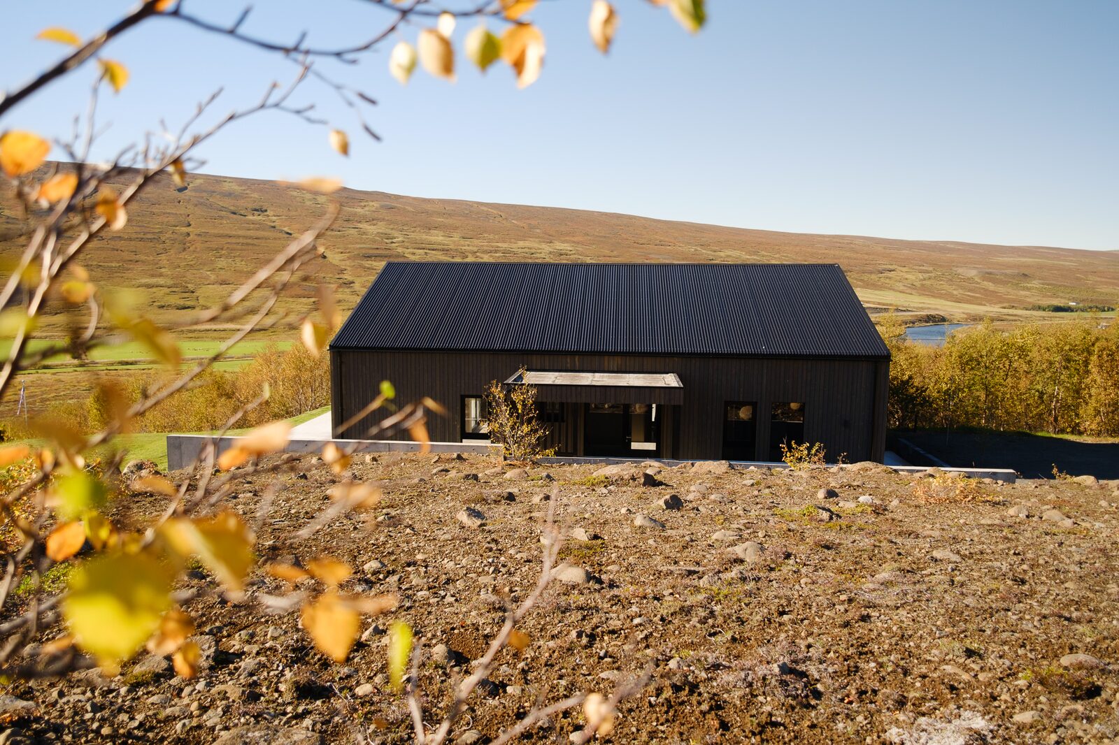 The house at Lundskógur across the field in autumn, with birch leaves in the foreground and the river beyond.